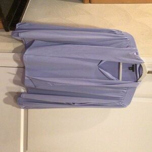 Ann Taylor Light Blue Blouse